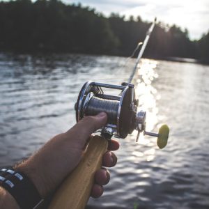 vissen hobby